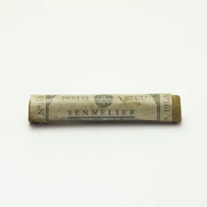 ARTISTS Soft Pastels - Sennelier - PASTEL L'ECU - SINGLE -	161	-	Light Bronze Green 161