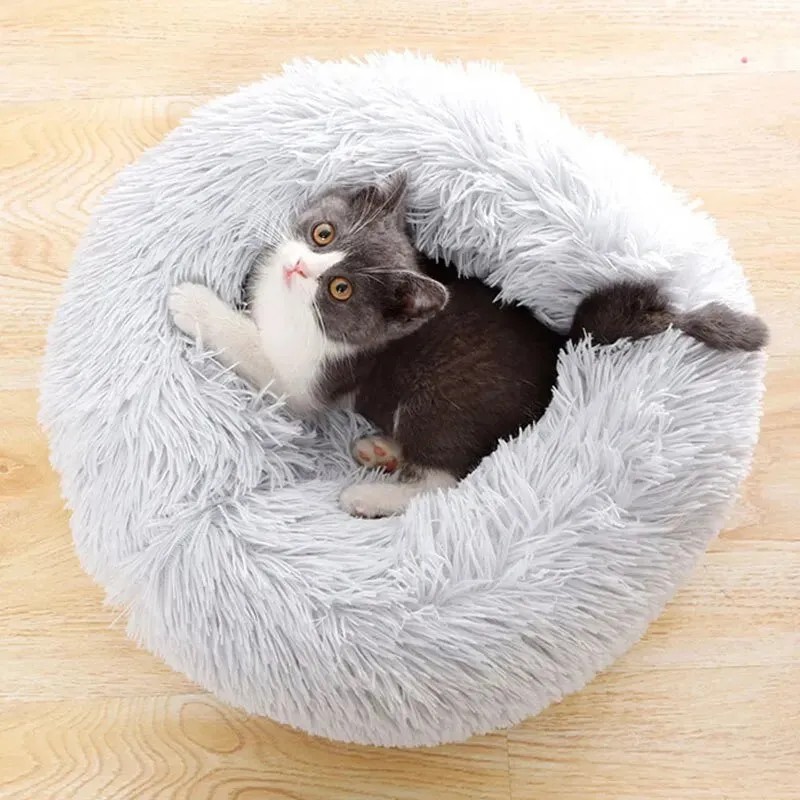 Feline Paradise Cozy Cat Haven