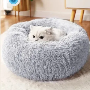 Feline Paradise Cozy Cat Haven