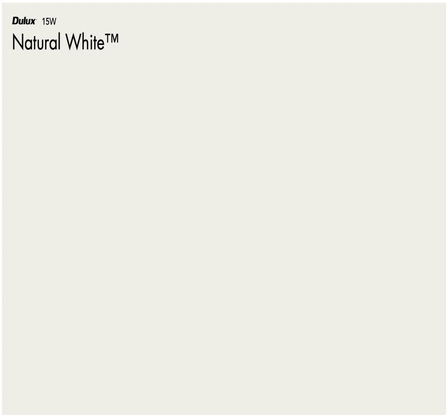 Our Most Popular Pack - Warm Whites