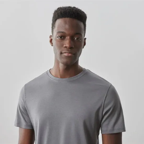 Robert Barakett Georgia Crew Tee - Warm Ash