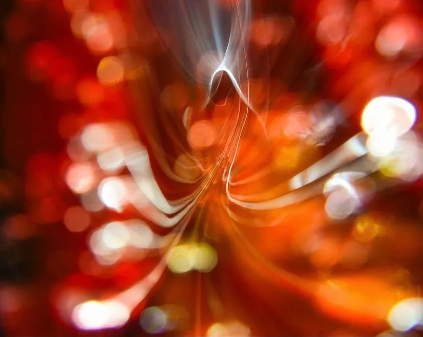 Serpent Plexiglass (Limited Edition by Johnny Griffin)