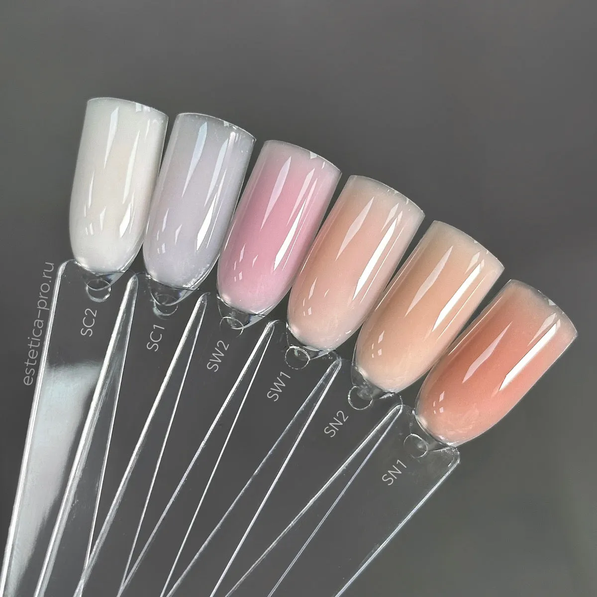 SW2 Trinity Shades Warm